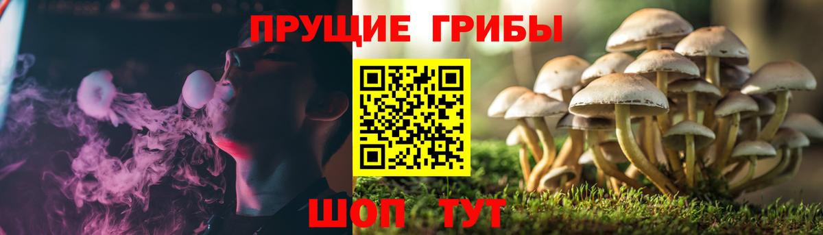 Галлюциногенные грибы мицелий  Псилоцибиновые грибы мухоморы  Анжеро-Судженск  Вход с VPN 